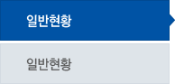 일반현황